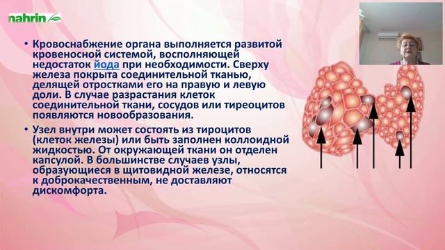 Регулятор женского здоровья и настроения | Эндокринная система смотреть онлайн