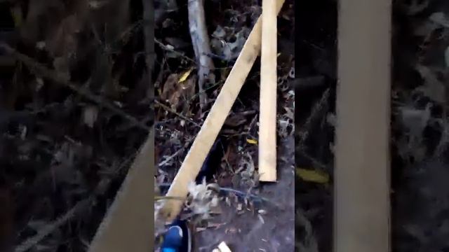 Хадьба у равчику смотреть онлайн