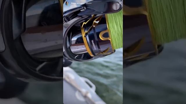 Сом на джиг с первого заброса смотреть онлайн