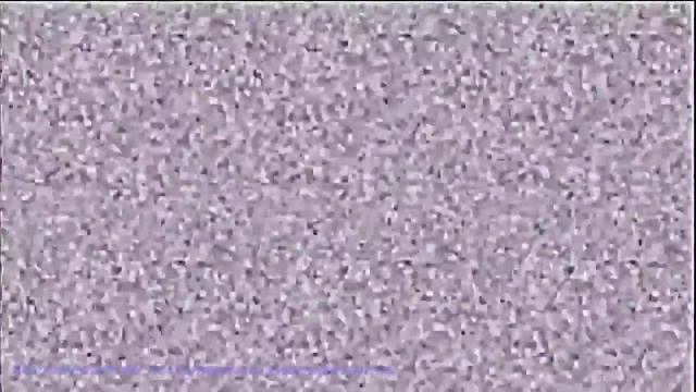 Лучшие приколы. Галочка ты щас умрешь смотреть онлайн