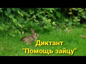 Диктант по теме «Имя существительное «