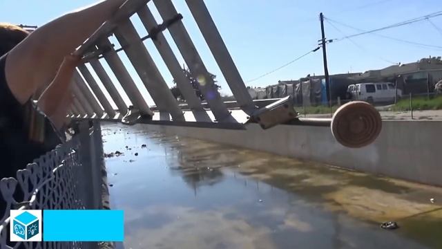 12 Случаев, Когда Животные Попросили Помощи у Людей смотреть онлайн
