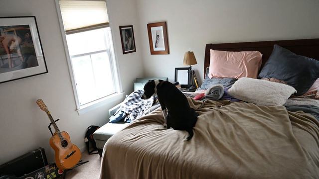 Lonely, Lonely Covid Christmas смотреть онлайн