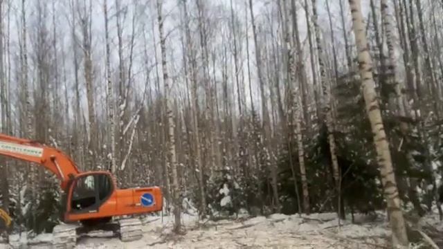 Работа мульчера UM-Forest Prof — 140H. Пример 2. Аренда и услуги лесного измельчителя.