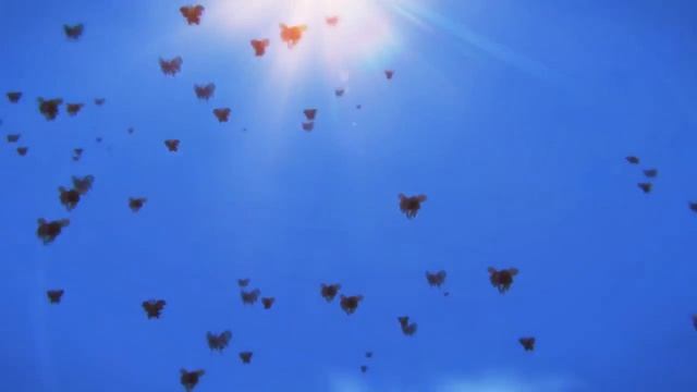 Онлайн игра Flower Knight Girl смотреть онлайн