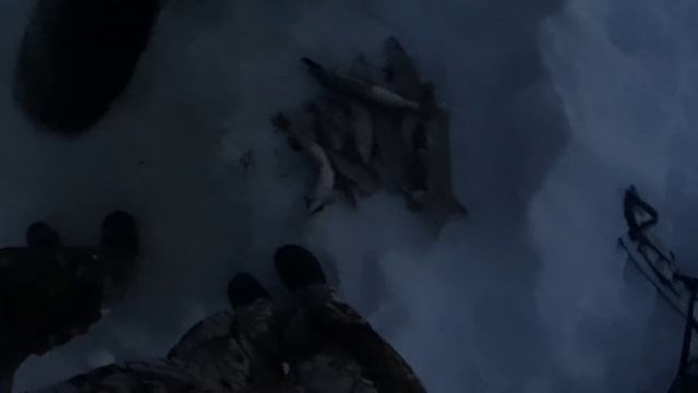 Рыбалка и отдых 2019 (в основном сети) смотреть онлайн