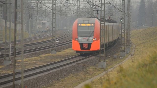 "Птицы в тумане" Стриж,Сапсан,Ласточки,ЭП20,ТЭП70БС,ЭТ2М смотреть онлайн