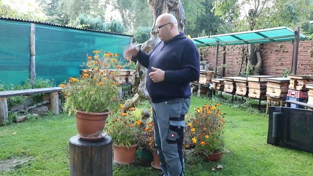 Добрый Совет.Бархатцы.Семена.Огород Баварский.