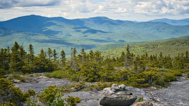 John Denver & Olivia Newton-John. Fly Away