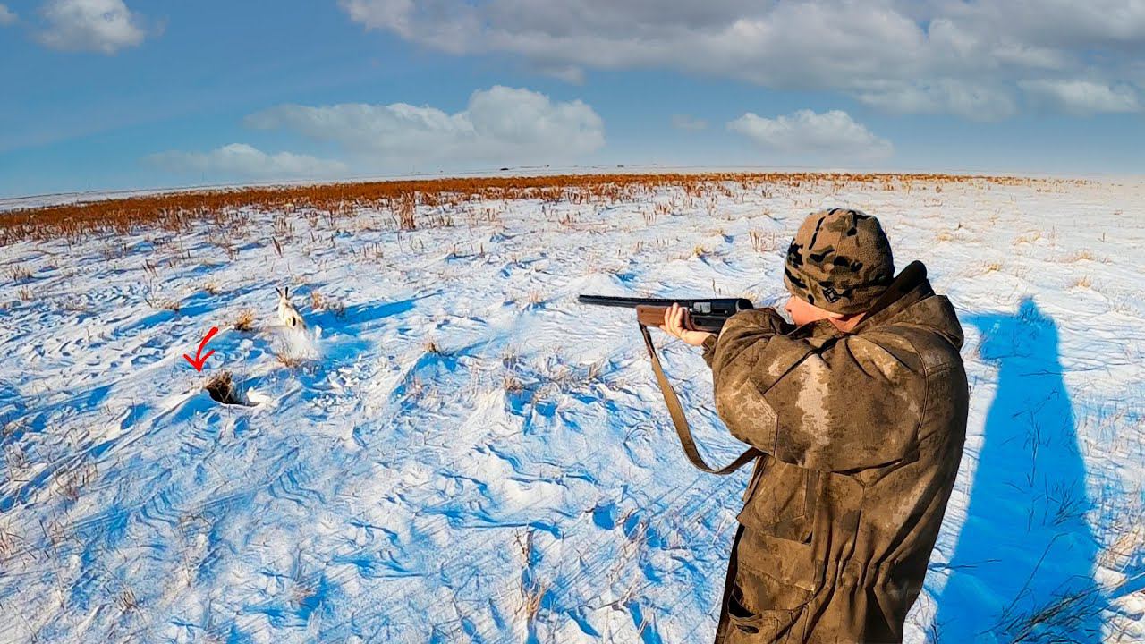 Заяц вышел на выстрел. Первая охота в феврале.. смотреть онлайн