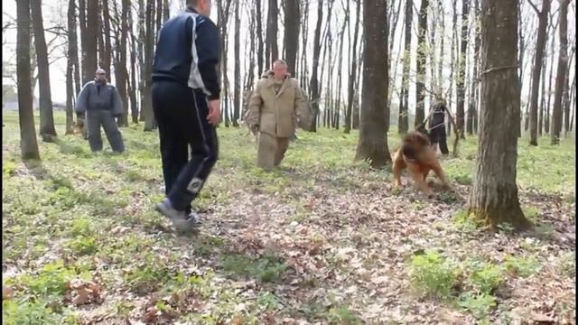 Паша охрана смотреть онлайн