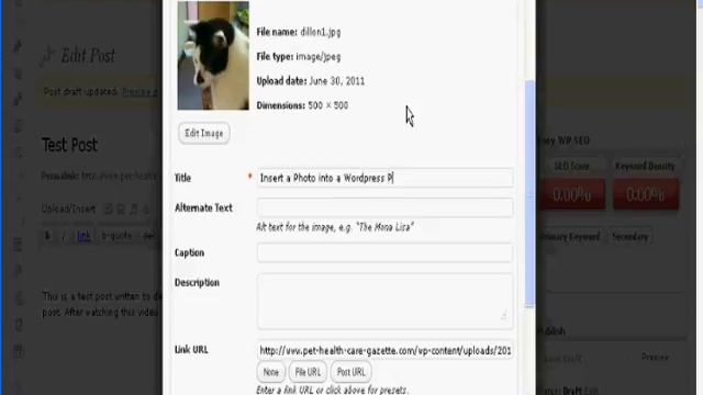 How to Add a Photo to a Wordpress Post or Page смотреть онлайн