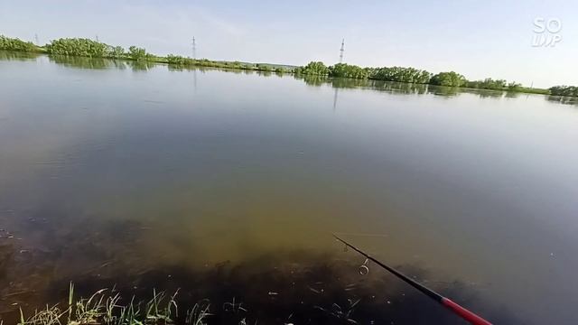 ловлю щуку на реке Кан! рыбалка в Сибири. смотреть онлайн