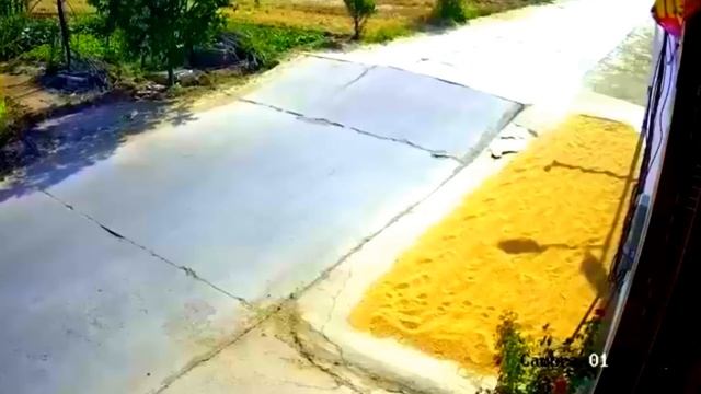 لحظات لا تصدق التقطتها كاميرات المراقبة ? 2 смотреть онлайн