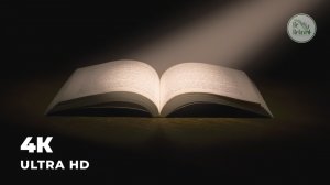 ФОКУС НА УЧЁБУ И РАБОТУ | Быстрая концентрация | Музыка для учёбы