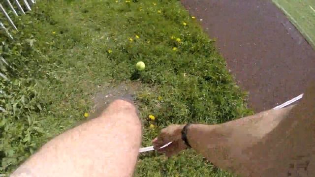 Феникс 2016. Турнир по игре "Город за городом" | Phoenix 2016. Russian "Lapta" сompetition смотреть онлайн