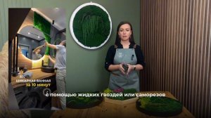 Как использовать стабилизированный мох в декоре