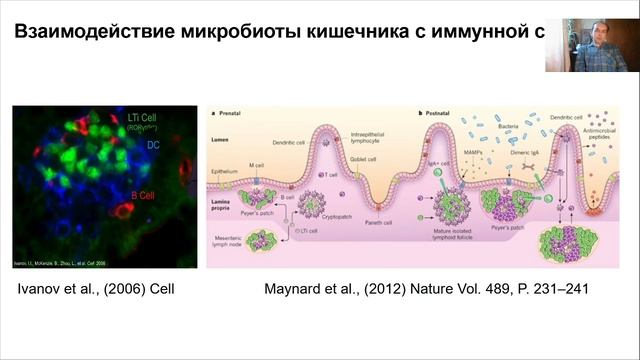Лекция 8. Нормальная микрофлора человека.