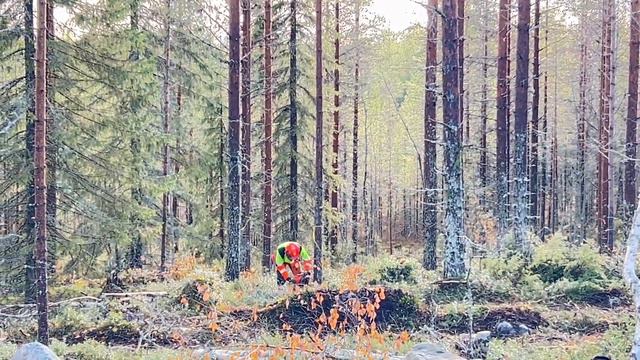 Мой день. Знакомство с лесными профессиями, выбор оправ, секонд, с детьми смотреть онлайн