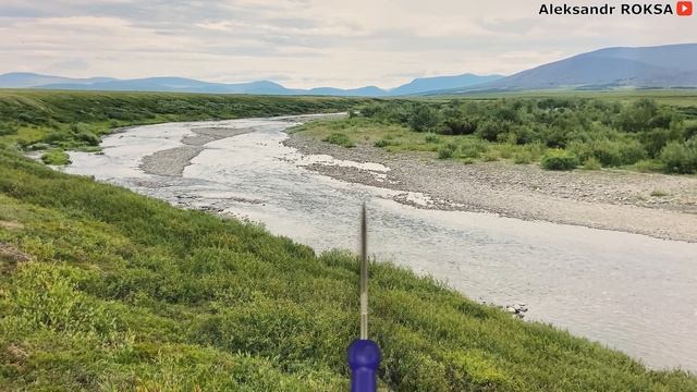 #5 Где и как поймать ХАРИУСА. Тактика ловли и места стоянки рыбы смотреть онлайн
