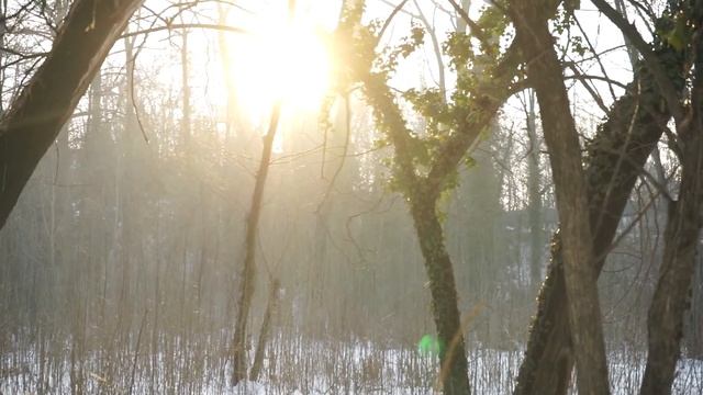 Test video: Sony A7R + 28-70mm смотреть онлайн