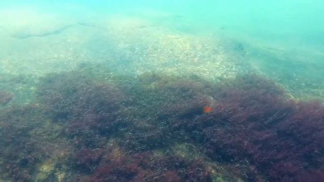 Лечение депрессии морем. смотреть онлайн