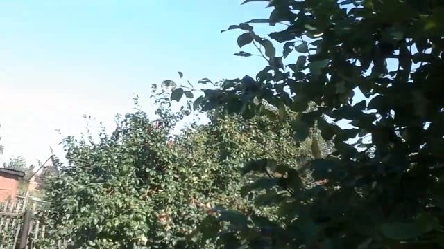 Купили дачу2
