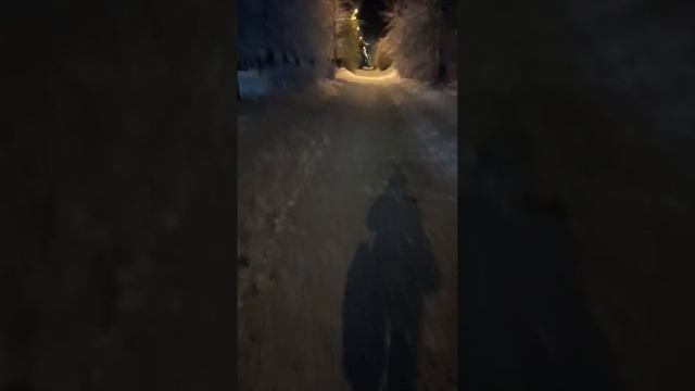 ЭНГЕЛЬС. смотреть онлайн