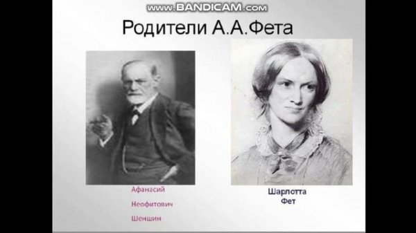 урок литературы 5-а класс А.А.Фет