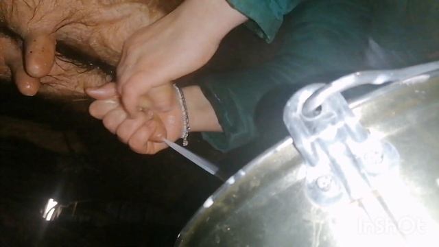 Утренняя ручная дойка коровы ? смотреть онлайн