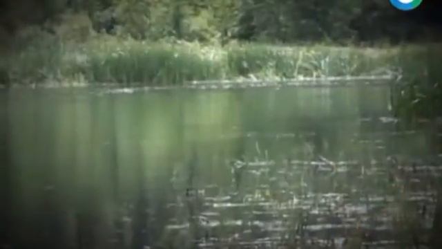 Радость путешествий