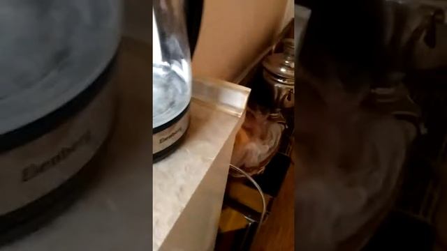 Как очистить чайник от накипи смотреть онлайн