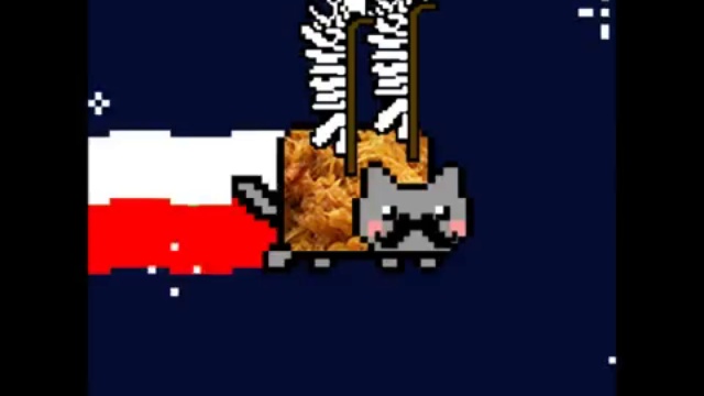 Le Nyan cat Polonais смотреть онлайн