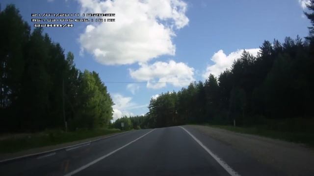 Ястреб влетел в лобовое стекло смотреть онлайн