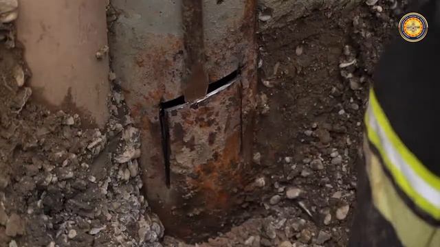 Спасение кошки смотреть онлайн