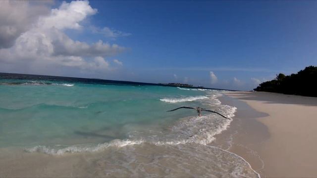 Isn't This Paradise On Earth? | All Alone on a Completely Desolate Island | Maldives, Reethi Beach смотреть онлайн