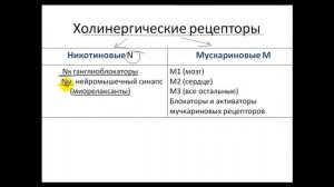 ФАРМАКОЛОГИЯ ВЕГЕТАТИВНОЙ НЕРВНОЙ СИСТЕМЫ//ЧАСТЬ 1/СДЕЛАЕМ ФАРМУ ПРОЩЕ/Вегетативная нервная система