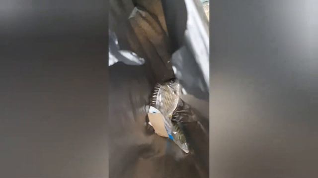 Рыбалка в корее (ловля монстра) смотреть онлайн