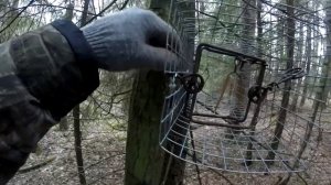 Ящик-сетка на куницу.Охота с проходным капканом.