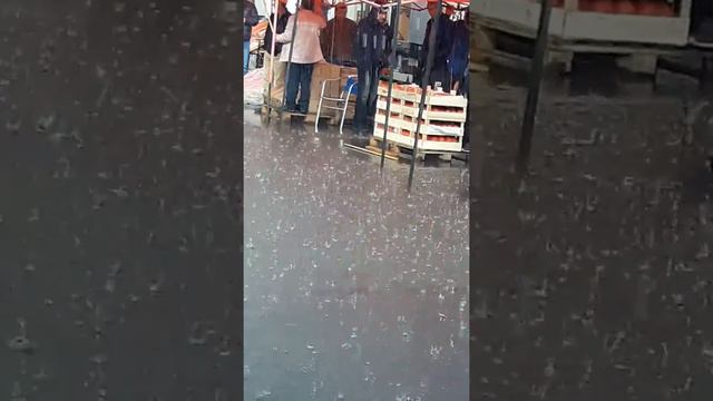 Бозор Сургут смотреть онлайн