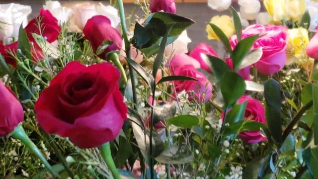 Vivo V25 Pro 4k video test #video #smartphonecamera #videorecording смотреть онлайн