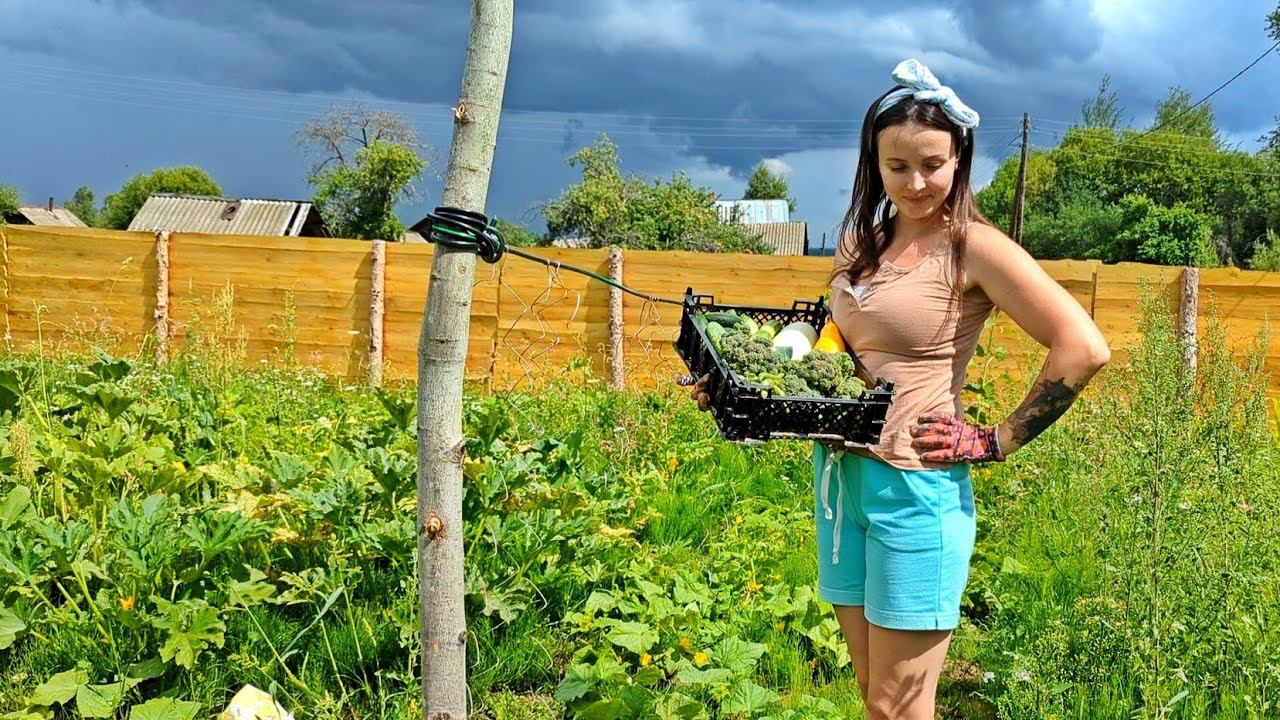 КАК ЛЮДИ ЖИВУТ В ДЕРЕВНЕ! Что выращиваем? Какие сложности. Строительство дома. Жизнь в лесу смотреть онлайн