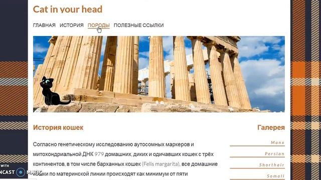Сайт о кошках смотреть онлайн