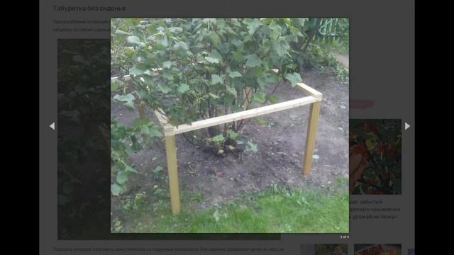 Чем проще, тем лучше: забытый способ подвязать крыжовник и смородину, чтобы урожай не лежал на земл смотреть онлайн