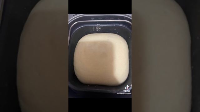 Bread machine dinner roll! #bakedgoods #recipe #smallscalefarming смотреть онлайн