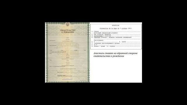 Апостиль свидетельства о рождении: как сделать смотреть онлайн