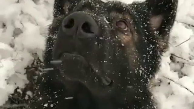 Разум смотреть онлайн