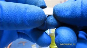 Золочение дома - один из простых способов! Желтое, зеленое и розовое золото!