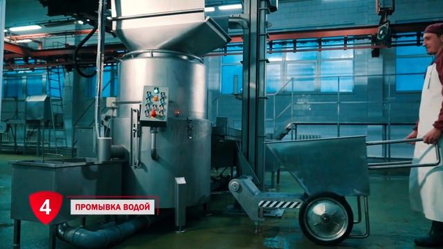 Машина обработки мякотных субпродуктов FELETI LF-M | Processing Of Pulp Offal