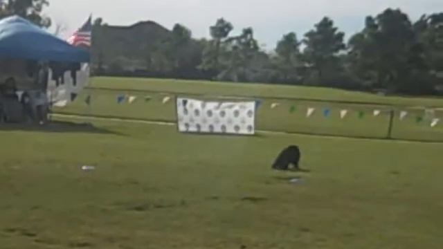 Gary Duke and Team Bayer perform freestyle at the UFO World Cup 2009 in Houston, Texas Part II смотреть онлайн